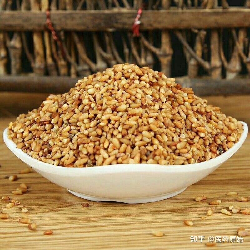 带你识别柏子仁 - 知乎
