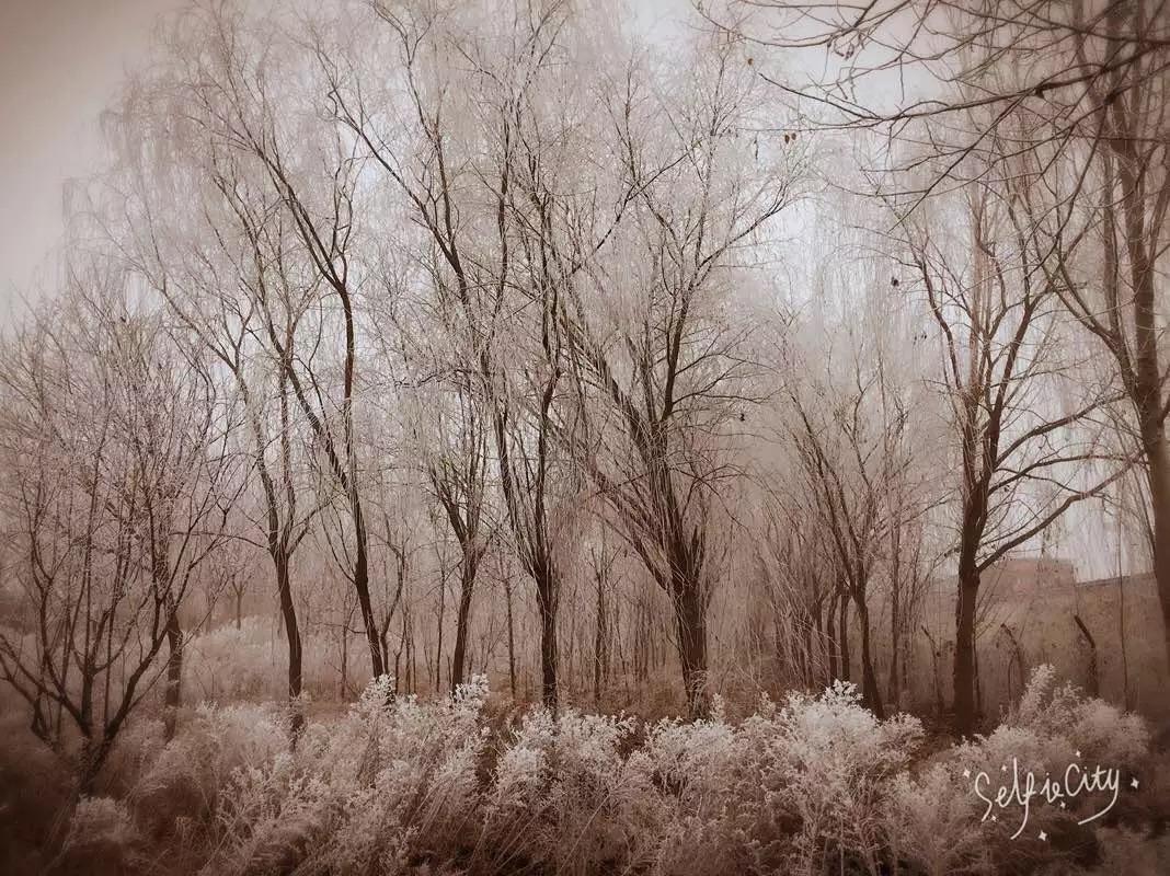 自考大学是一种怎么样的体验?