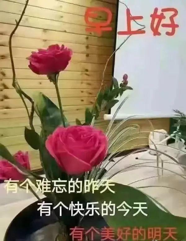 早上好中午好晚上好也不如這條清晨祝福心語好