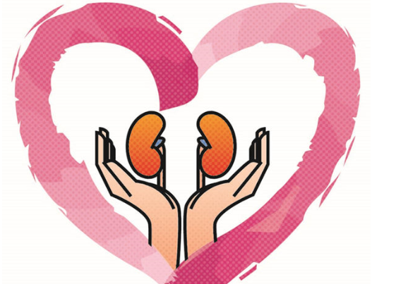 肾透析一段时间可以恢复正常吗