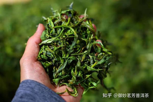 普洱茶的制作工艺(三)——揉捻 - 知乎