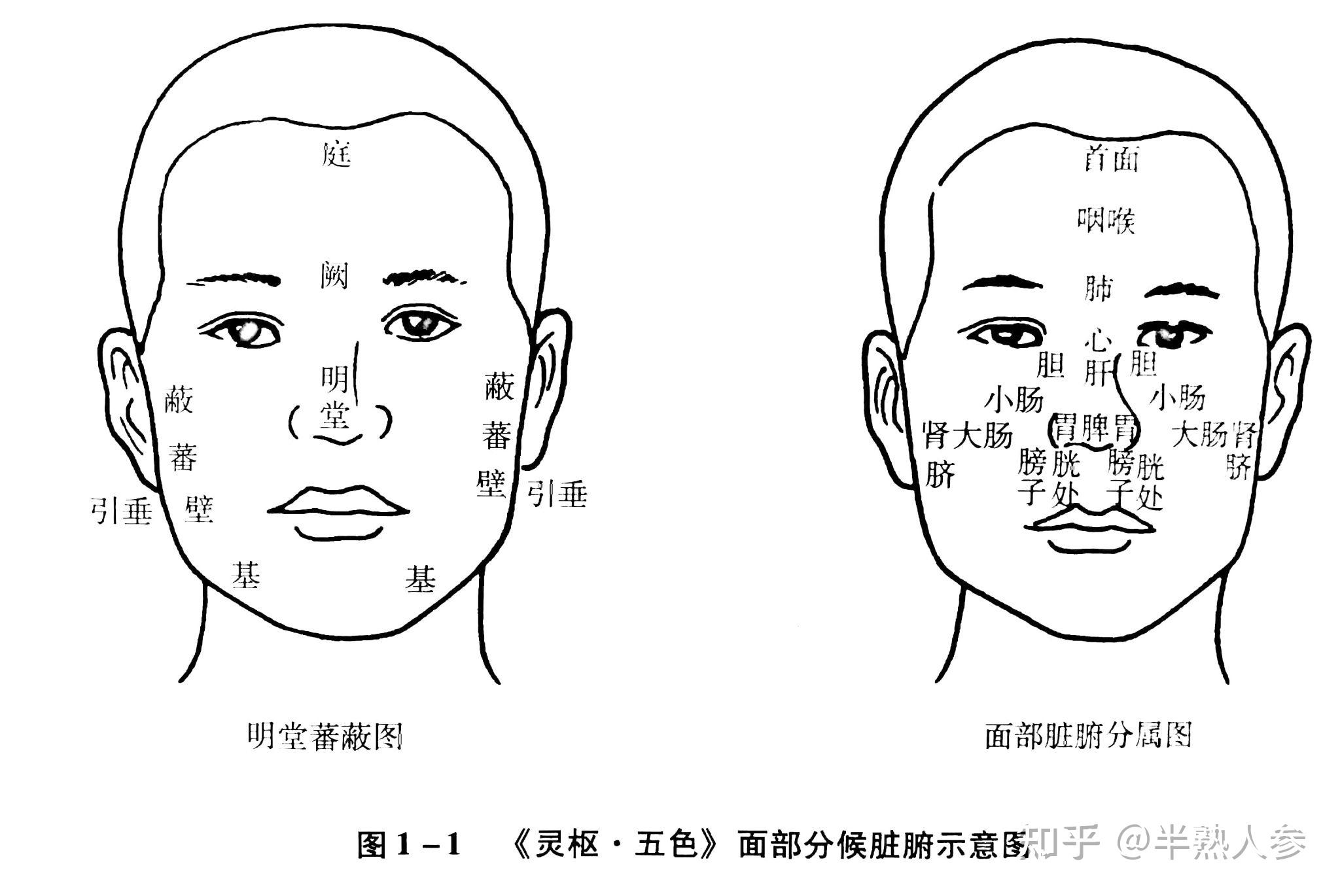 11望诊全身望诊2
