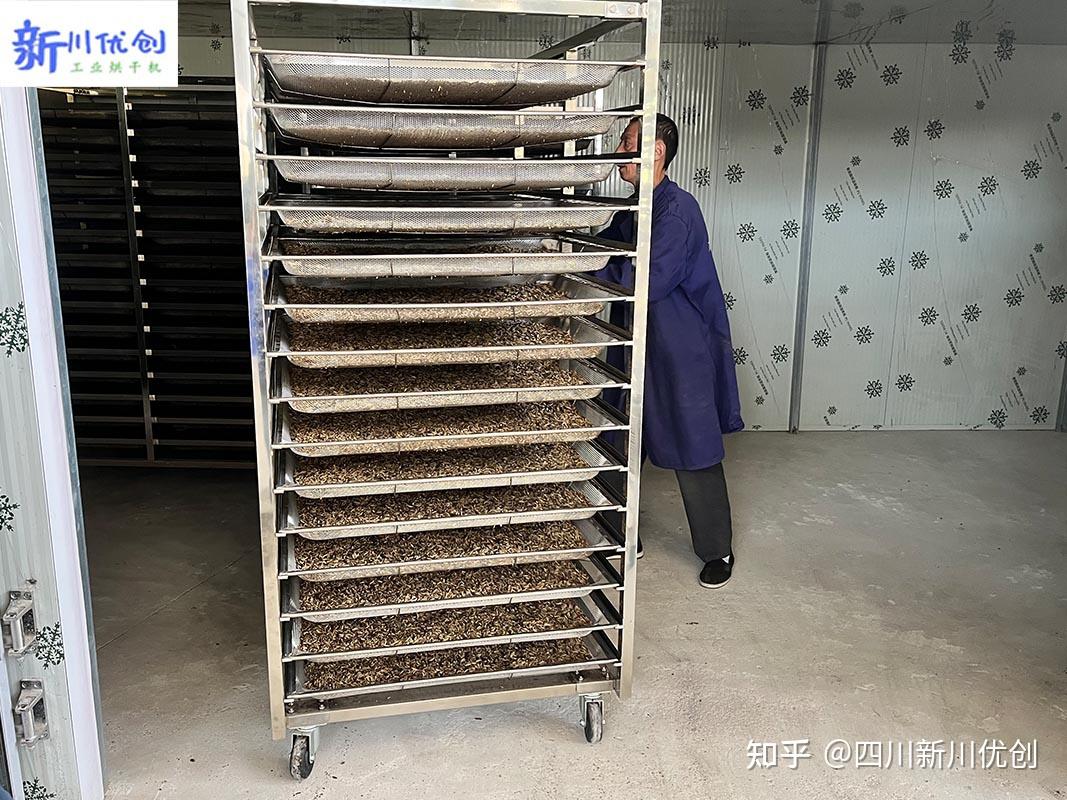 黑水虻烘干机烘干工艺四川新川优创烘干房厂家