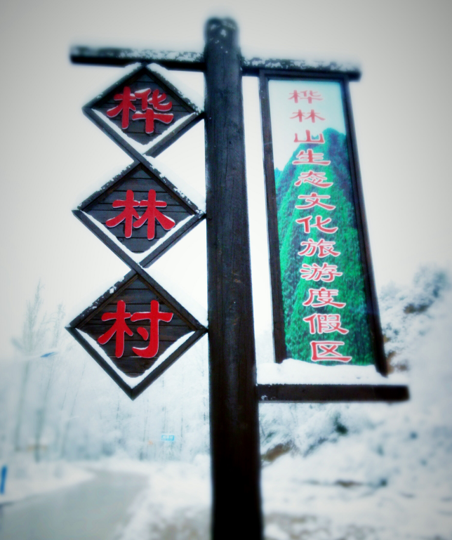 避暑就来陇西桦林山,在山泉翠林间尽享清凉时刻! - 知乎