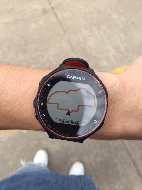 garmin dwmap