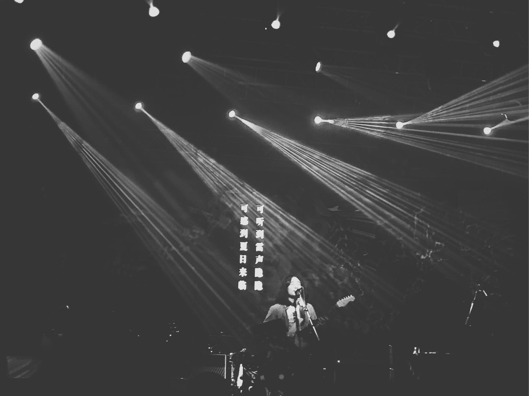 看万青在室内和音乐节的现场分别是怎样的体验