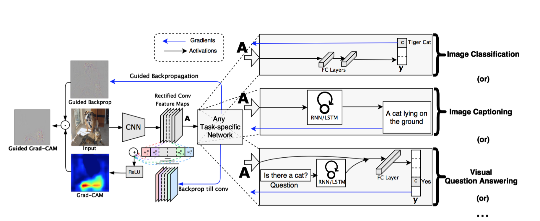 papertellmewheretolookguidedattentioninferencenetworkcamgradcam