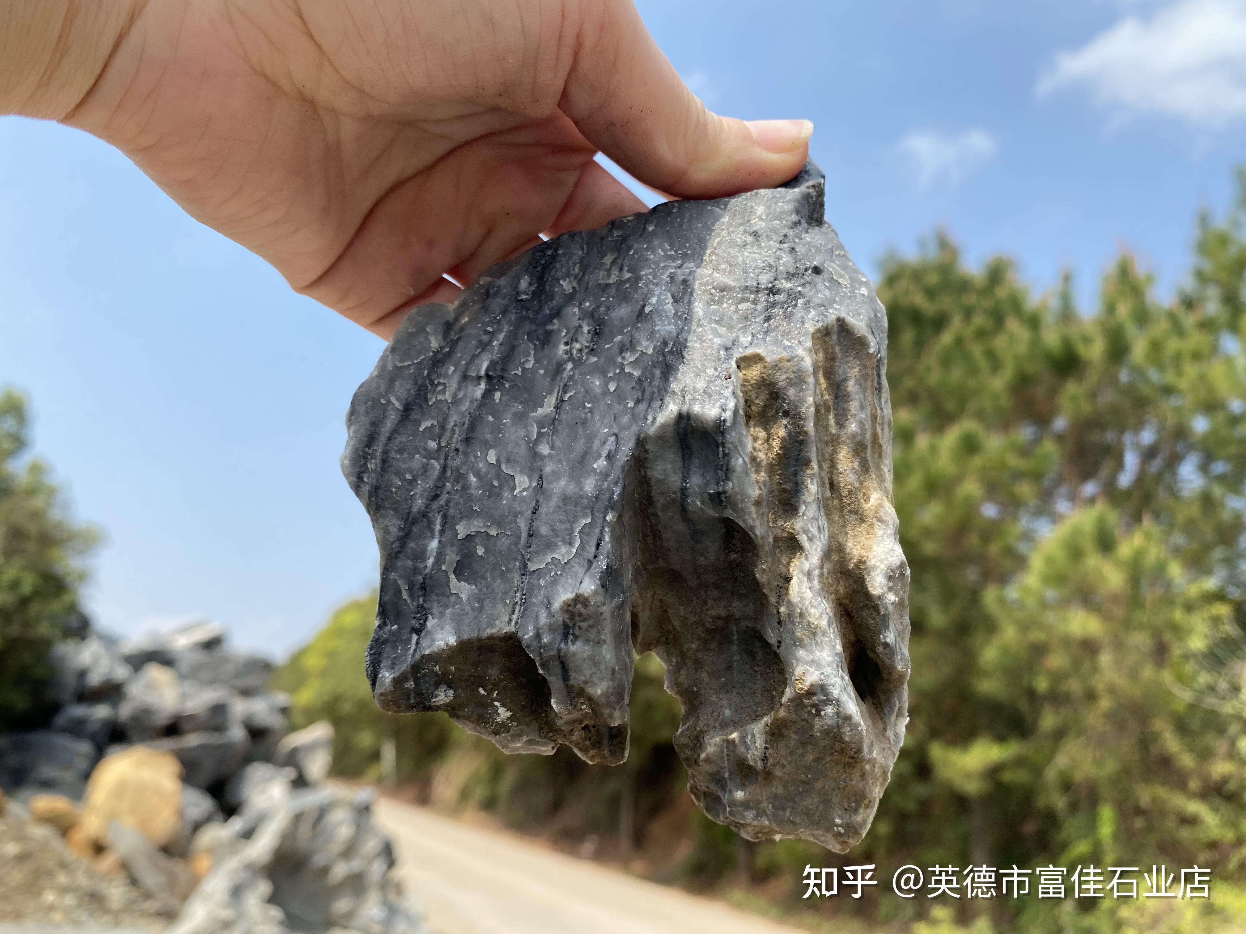 青龙石市场价格,水草缸鱼缸造景,深圳青龙石批发 - 知乎
