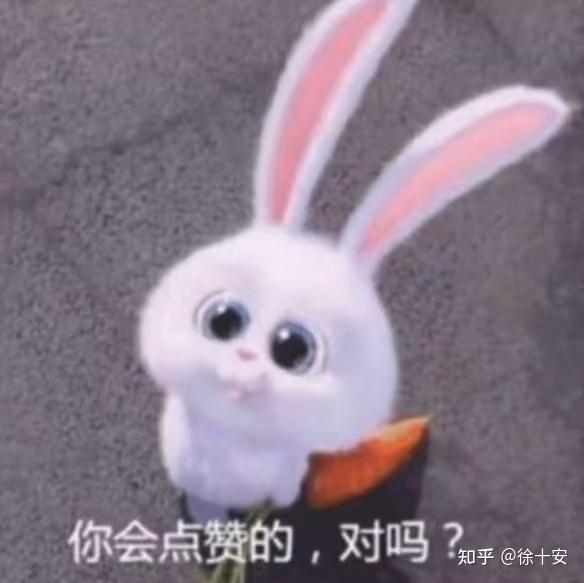 你见过最有笑点的图片是什么? - 知乎