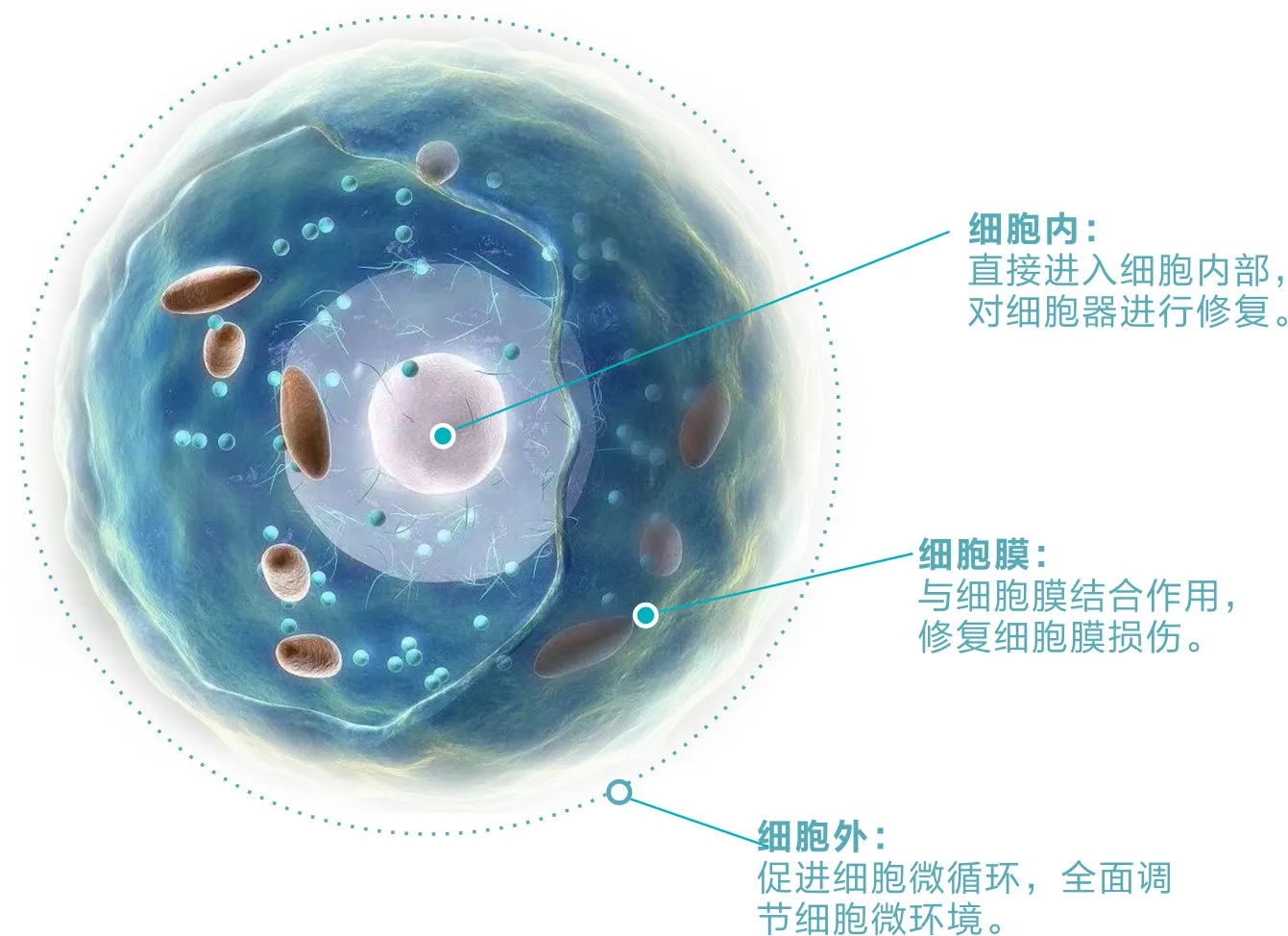 开斋节，回民朋友会做一种特别的小吃，只送亲朋好友，很少有人卖|回民|开斋节|亲朋好友_新浪新闻