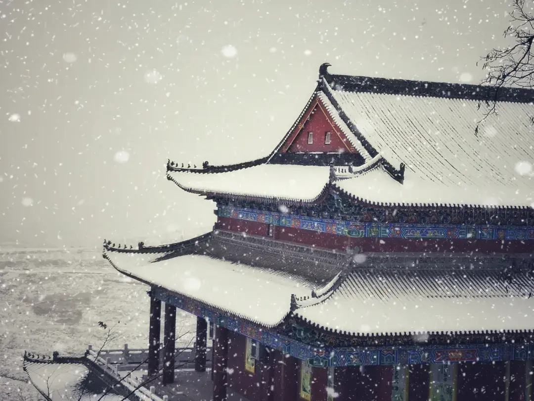 下雪了这样拍雪景让你获赞无数