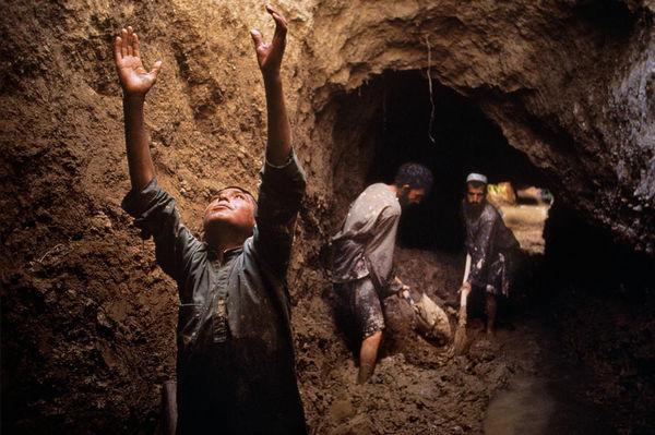 从《青铜葵花》中感知苦难之美 - 知乎