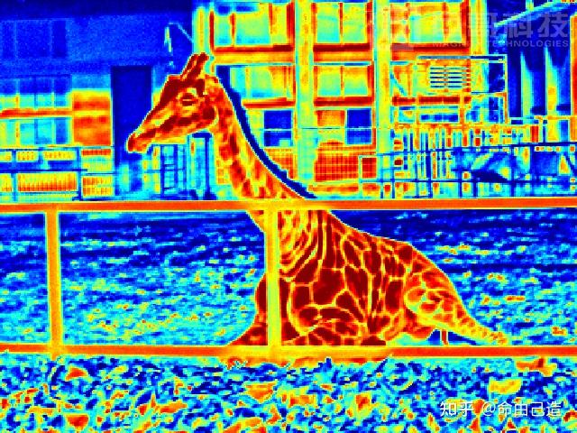 热成像镜头下的艺术展