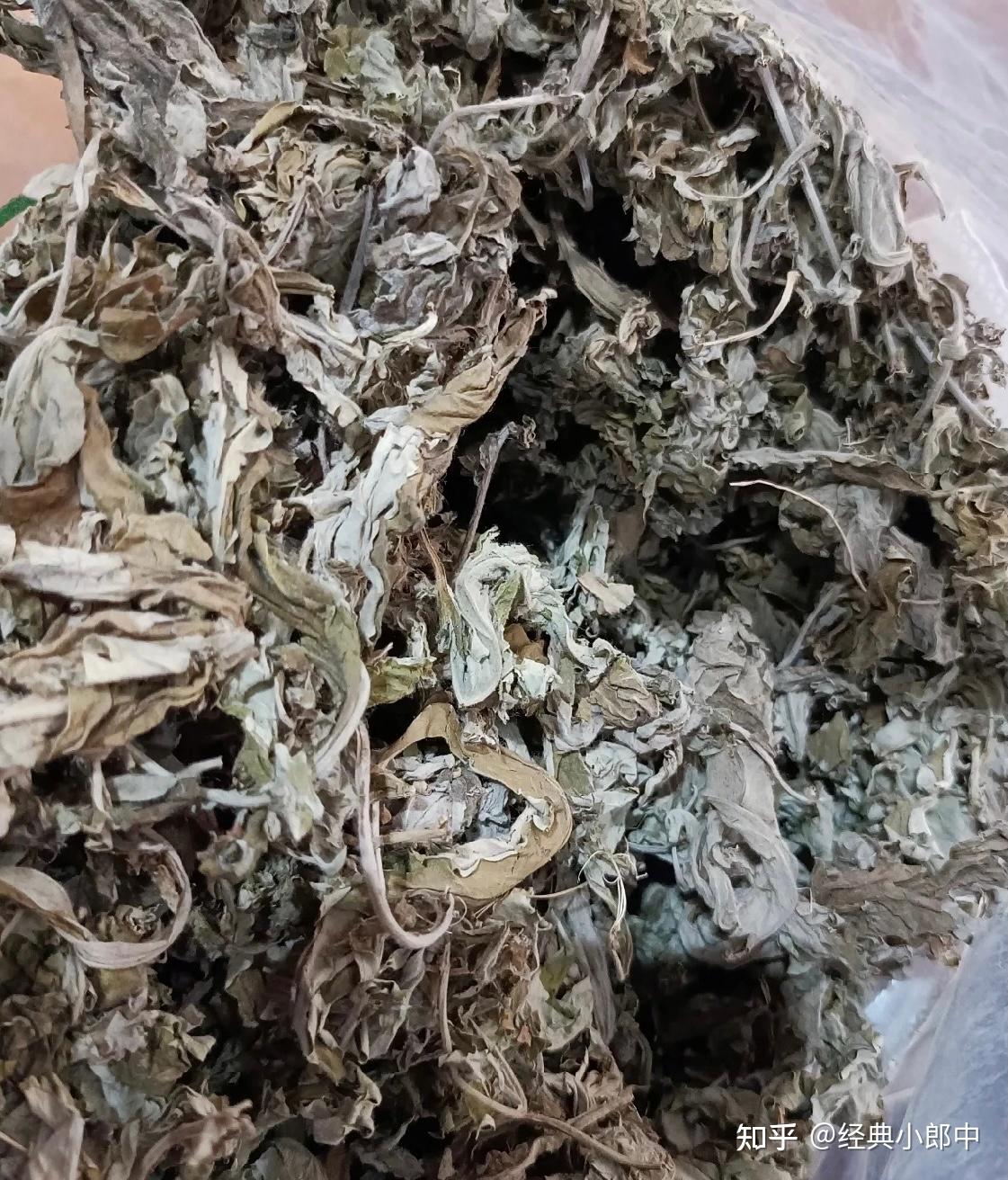 居家熏香 避瘟丹 - 知乎