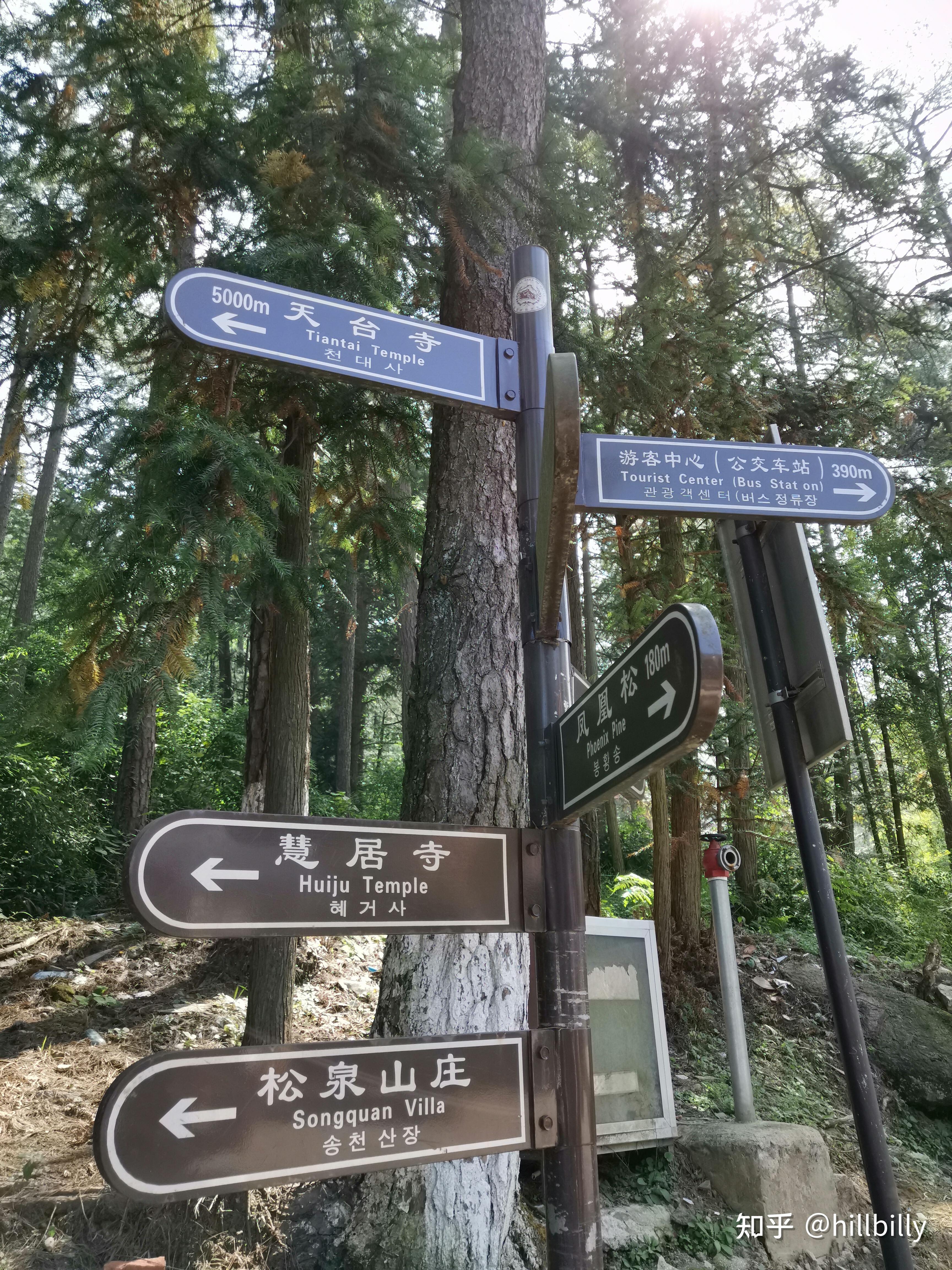 下了车后,有一段盘山公路,一直走,有几条山路,但实际上是有指示牌