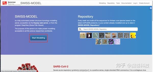 同源建模法预测蛋白质结构 知乎