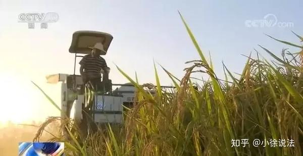 裸土治理新举措：绿色覆盖网助力生态修复 (裸土治理的工作亮点)-初仟社区