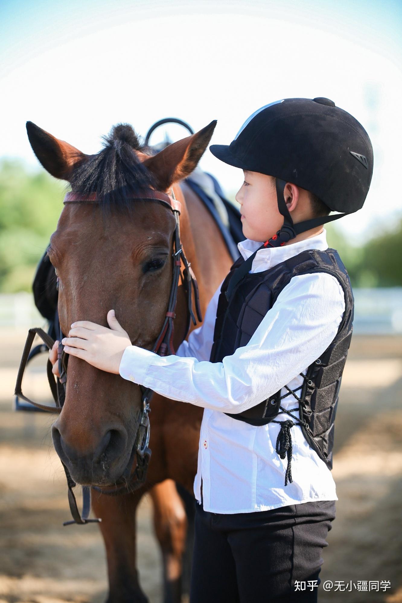无疆牧场孩子想骑马还得先做性格测试