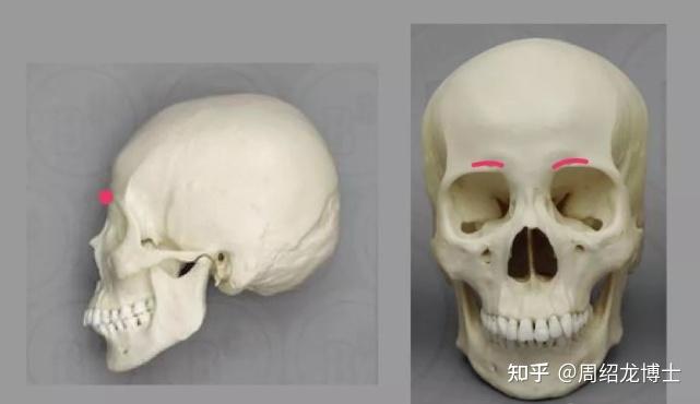 调整眉弓这个部位,让你悄悄变美,拥有高级感 - 知乎