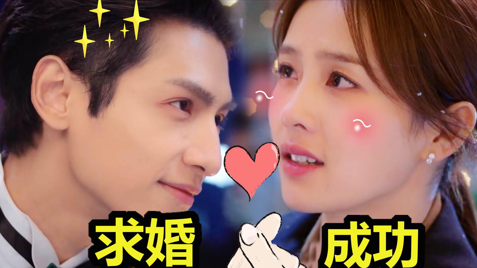 半是蜜糖半是伤大结局罗云熙求婚成功旺财直接成姐姐一家四口甜齁了