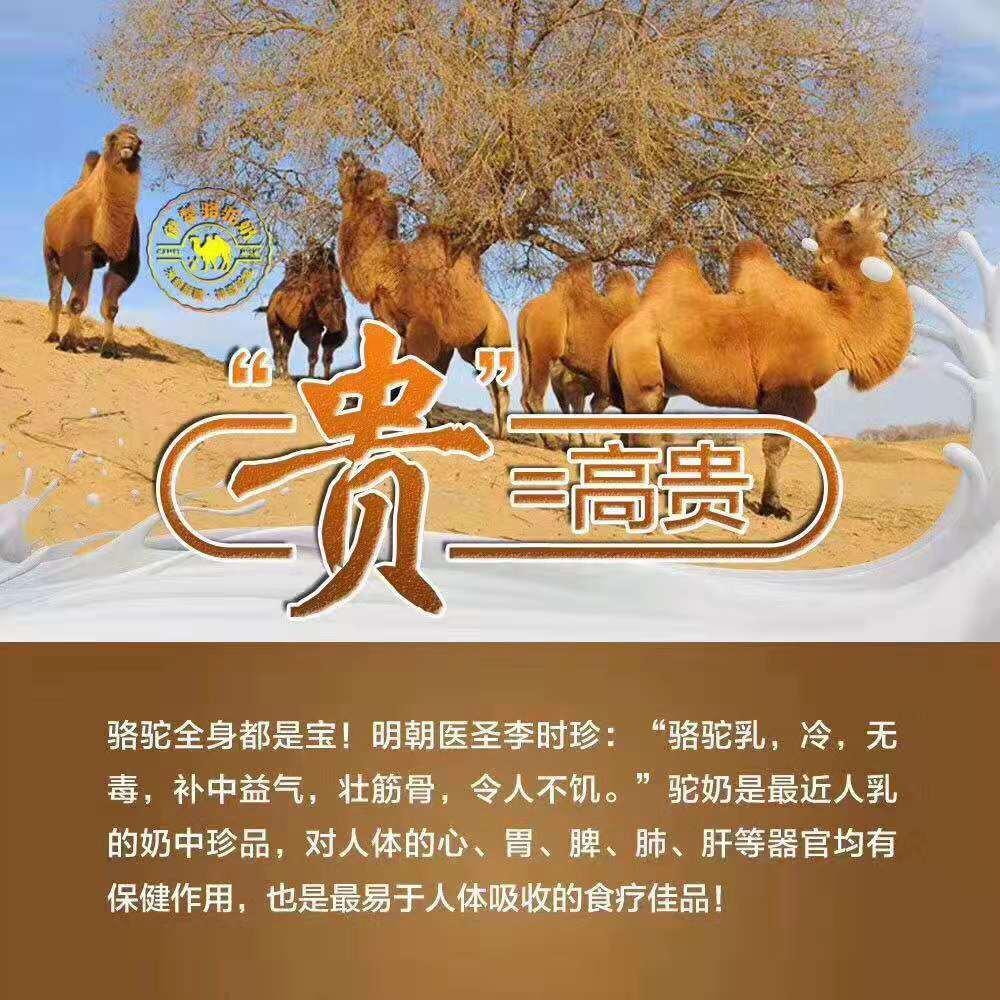 驼奶粉真的有那么好吗?真相大揭秘