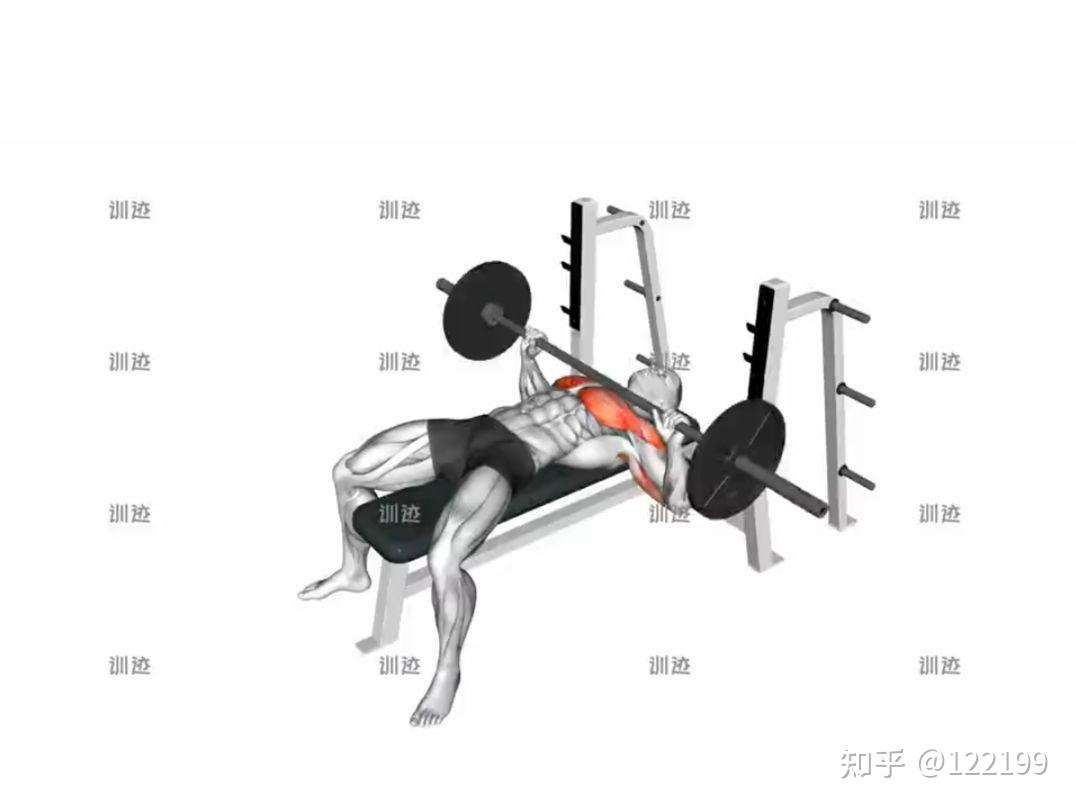 杠铃卧推的动作要领 - 知乎