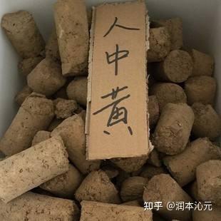 人中黄和人中白 - 知乎