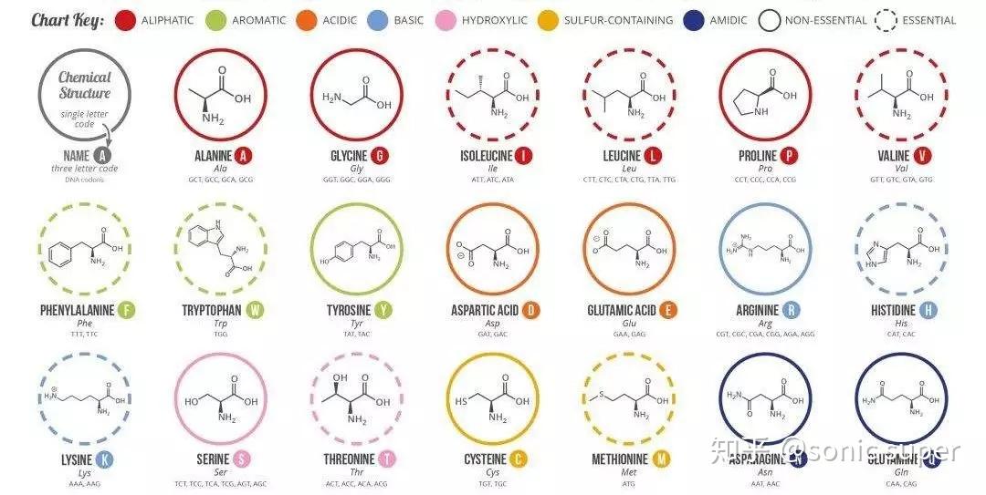 燕窝吃了没效果不是燕窝假就是你有点傻