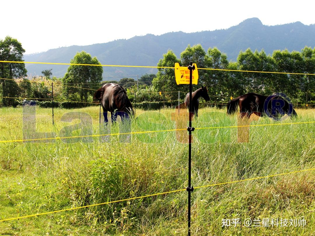 兰星科技畜牧电子围栏:农村养殖户的 "安全卫士",原理和优势全解读