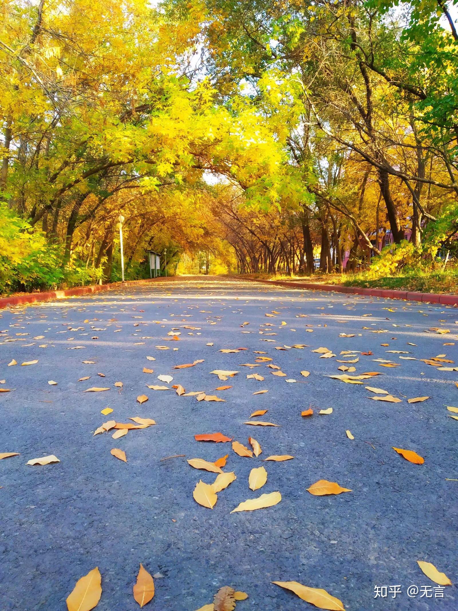 有没有适合画风景的照片要写生的那种真实风景要画了参加比赛谢谢啦
