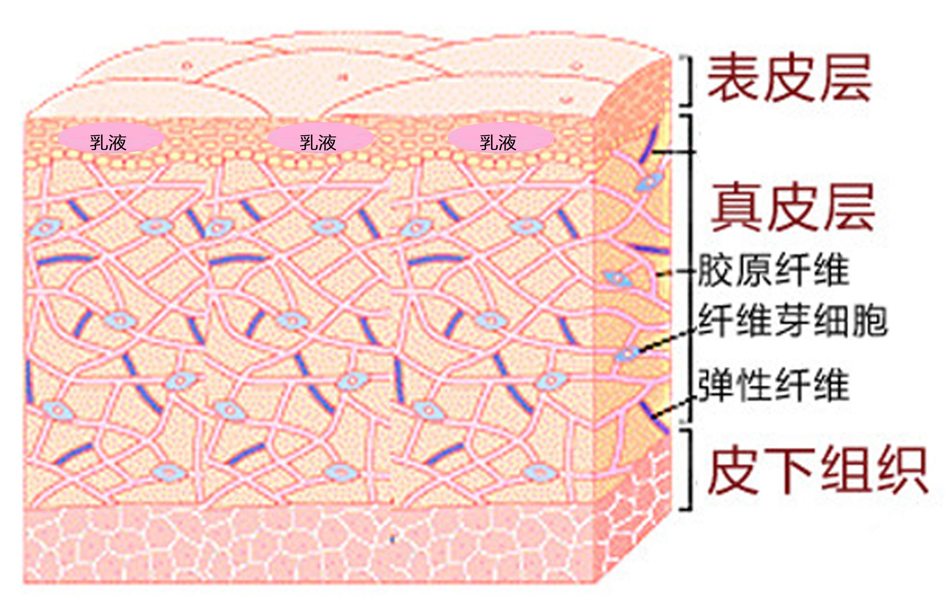 8188www威尼斯注册山东省纤维质量监测中心开展检测技能比试解决“肠梗阻”问题