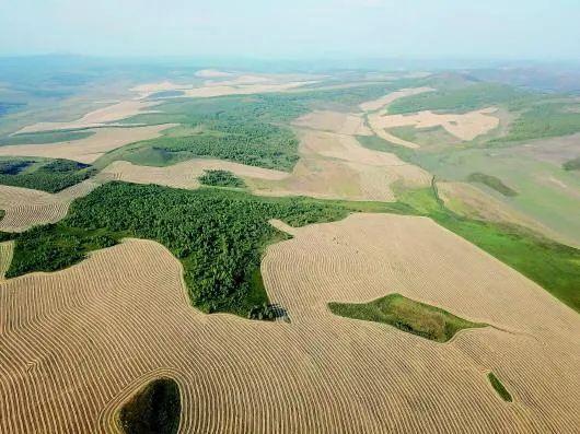 90均有不同程度的退化草原为何伤痕累累