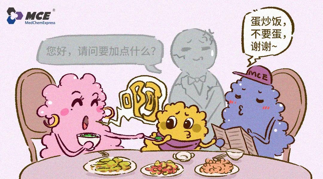 Nature: 挑食可能是种自我保护| MedChemExpress - 知乎