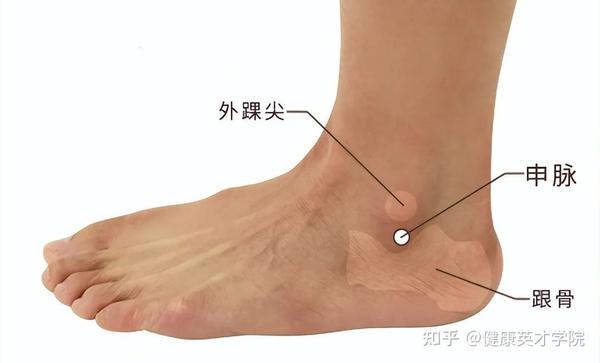足踝外侧的四个穴位，也是人体经络的四个要穴！ - 知乎