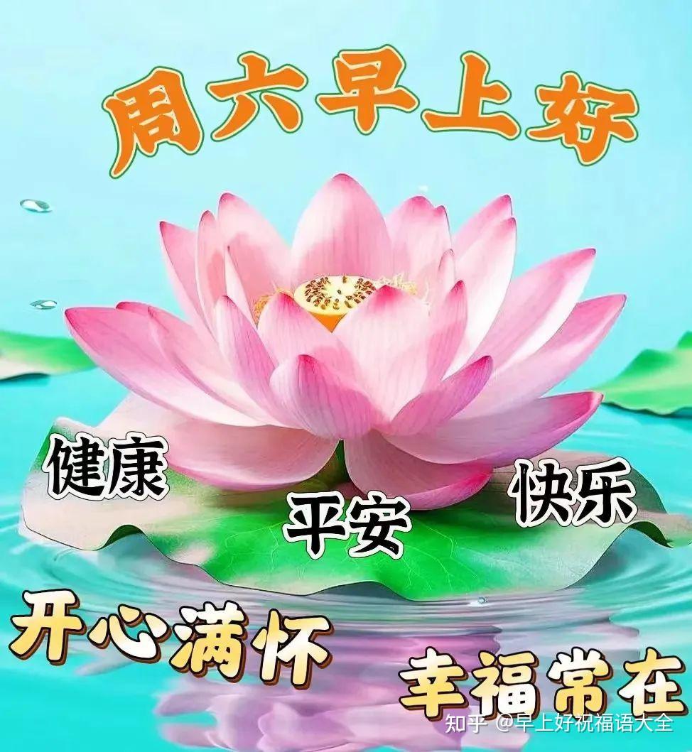 2023年6月17日周六早上好,早安周末创意 - 知乎
