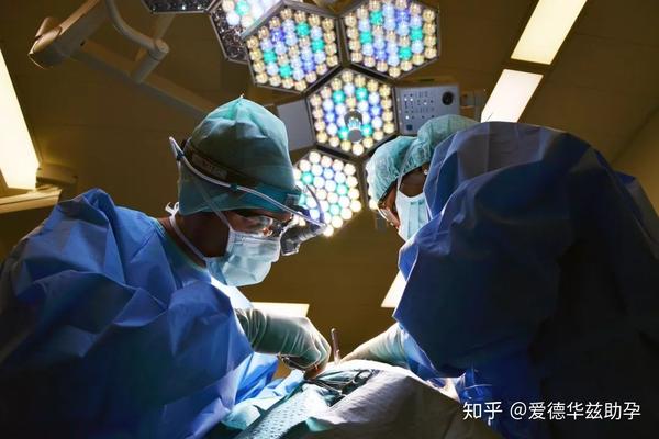 干货 | 为什么流产的总是我? - 知乎