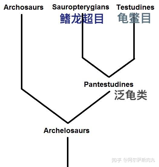 番外丨孽子幻龙目简谈