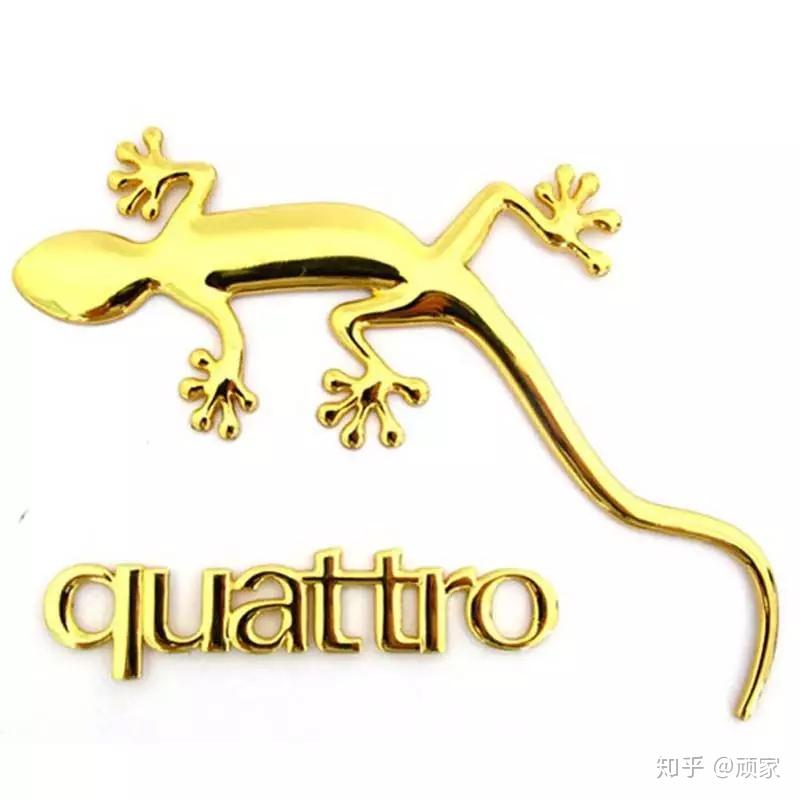 壁虎是蜥蜴的1种,又称"守宫".