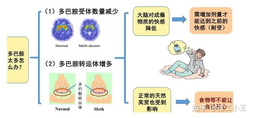 物质成瘾行为分析的三步走