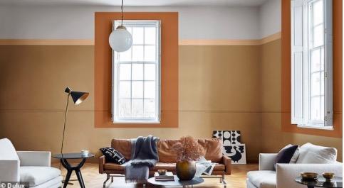 装修时墙面刷的黄色 v2-1a06b44fe501b6e139bd84c832b3ffc1_1440w.jpg?source=172ae18b