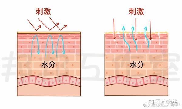 化妆品过敏怎么办健康证_换季过敏化妆_办狗证不要证便宜