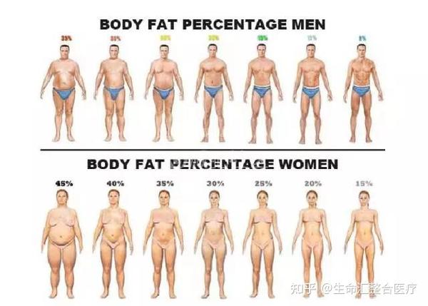 夏天来了没个好身材怎么行 生命汇整合医疗管理你的身材 知乎