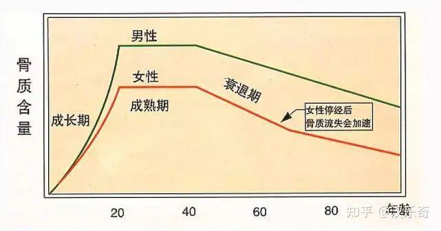 特别是女性是易缺钙的身体,在经历了生育,哺乳,更年期等阶段,就会让