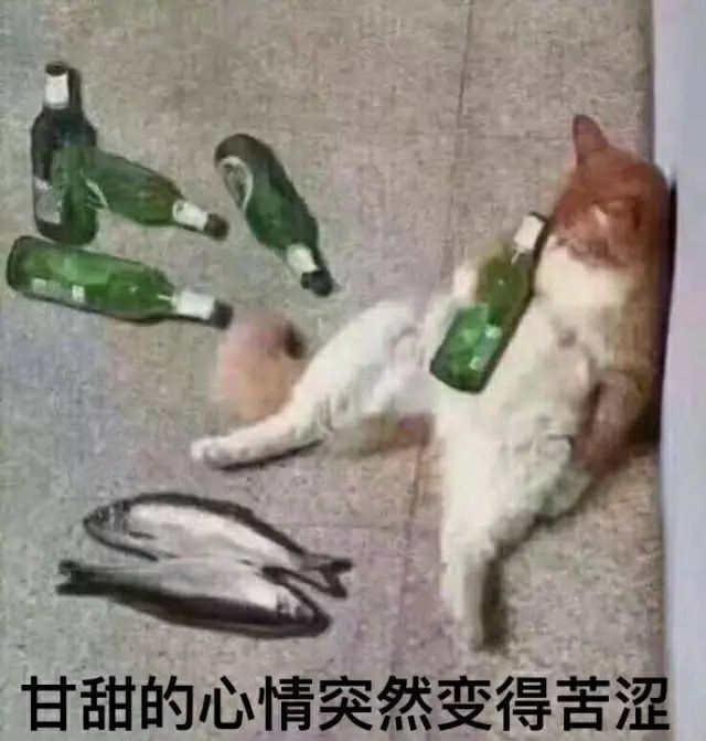 沙雕动人的文案,沙雕动人的文案简短