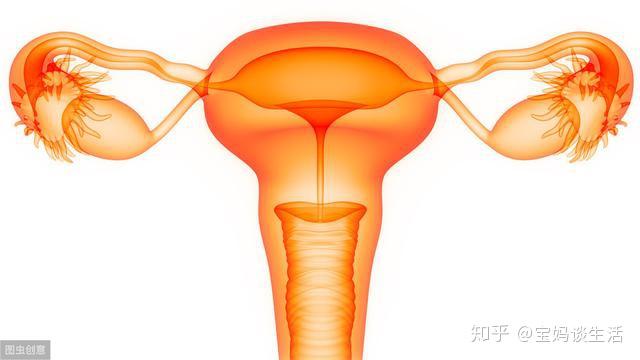 v2-1a3b466b4c73c70267128a2aaf49825d_r.jpg