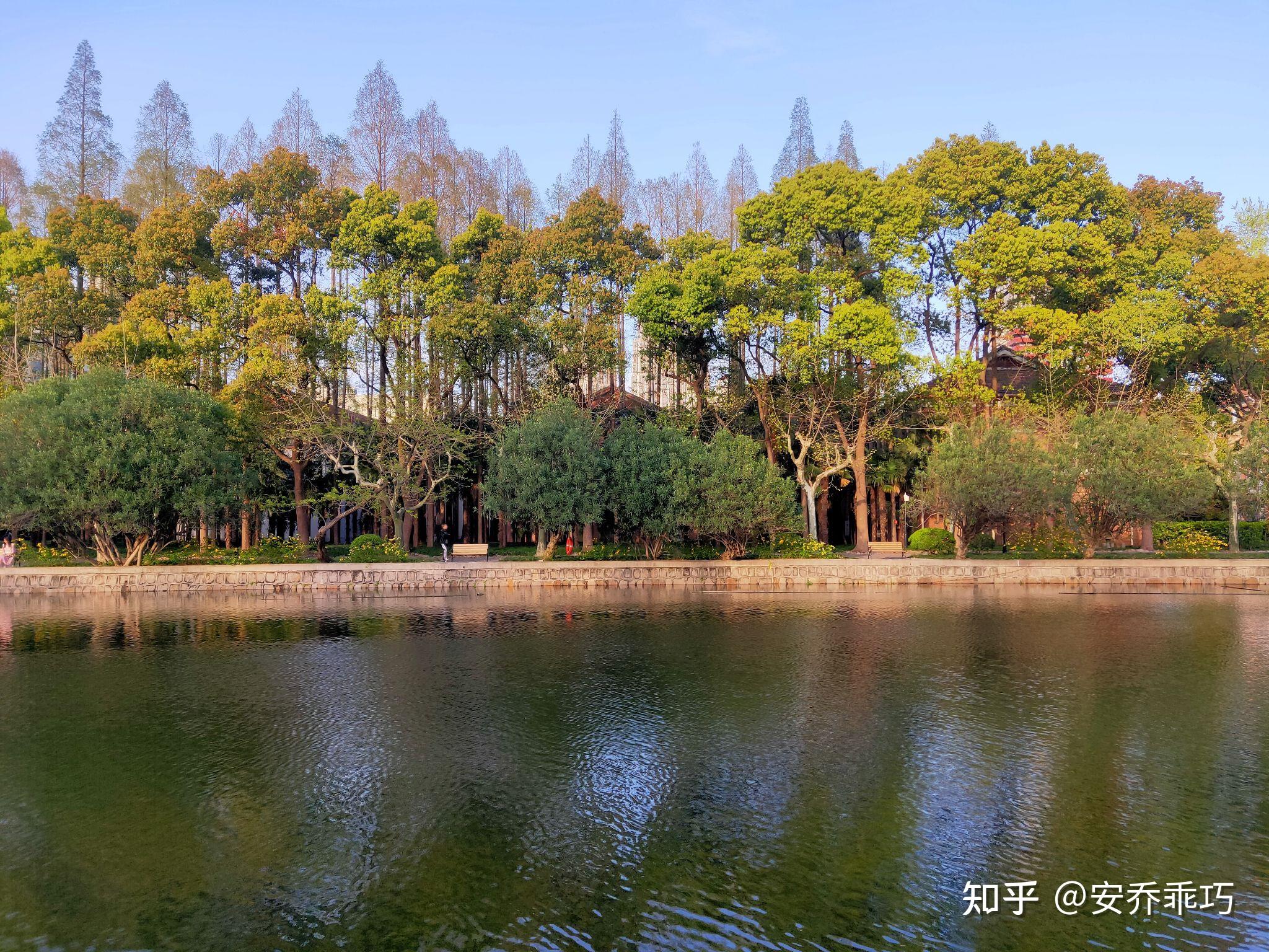 华师大中北校区图片