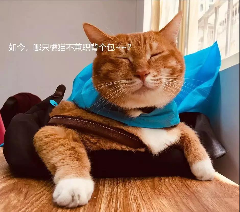 个共同的体验:就是每当从事自己喜欢的工作时,他们全神贯注的忘我状态