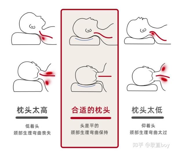 枕头标准多高合适图解图片