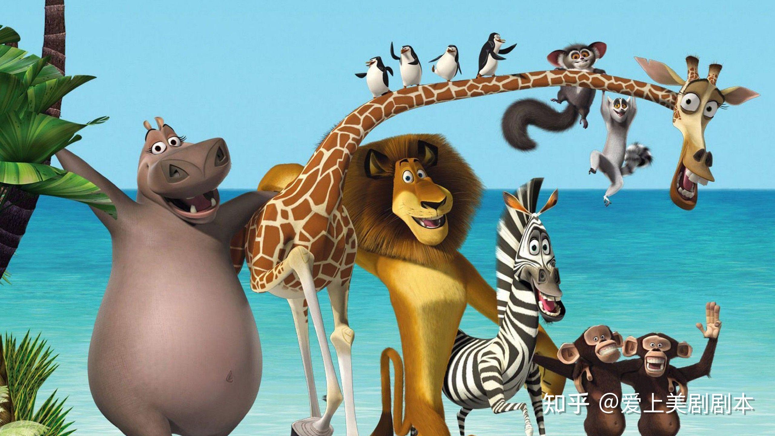 Wallpaper Madagascar 3，Lion，Alex HD：宽屏：高清晰度：全屏