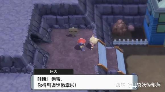 宝可梦晶灿钻石发售日期(《宝可梦晶灿钻石明亮珍珠》一周目图文攻略)  第31张